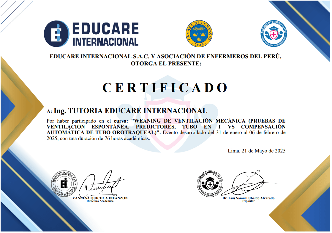 Certificado Domestika 1