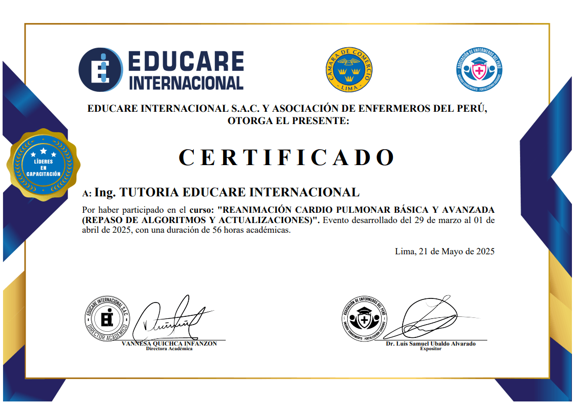 Certificado Domestika 2