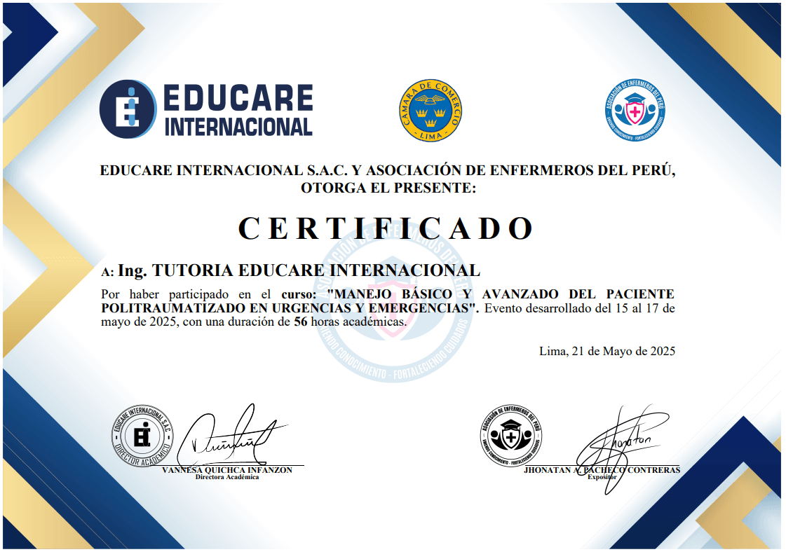 Certificado Domestika 3
