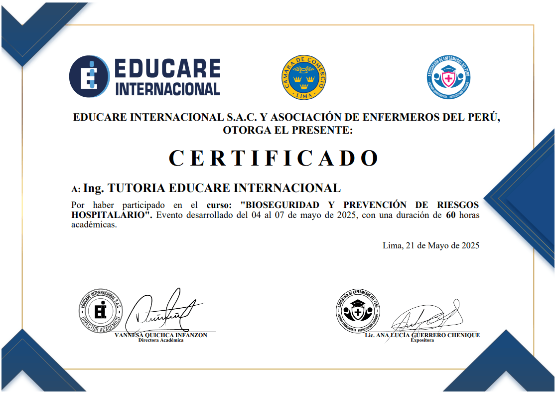 Certificado Domestika 4
